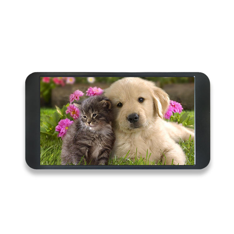 7 Inch 1080P Monitor 1920*1080 - огляд і ціна Gaming Console With
